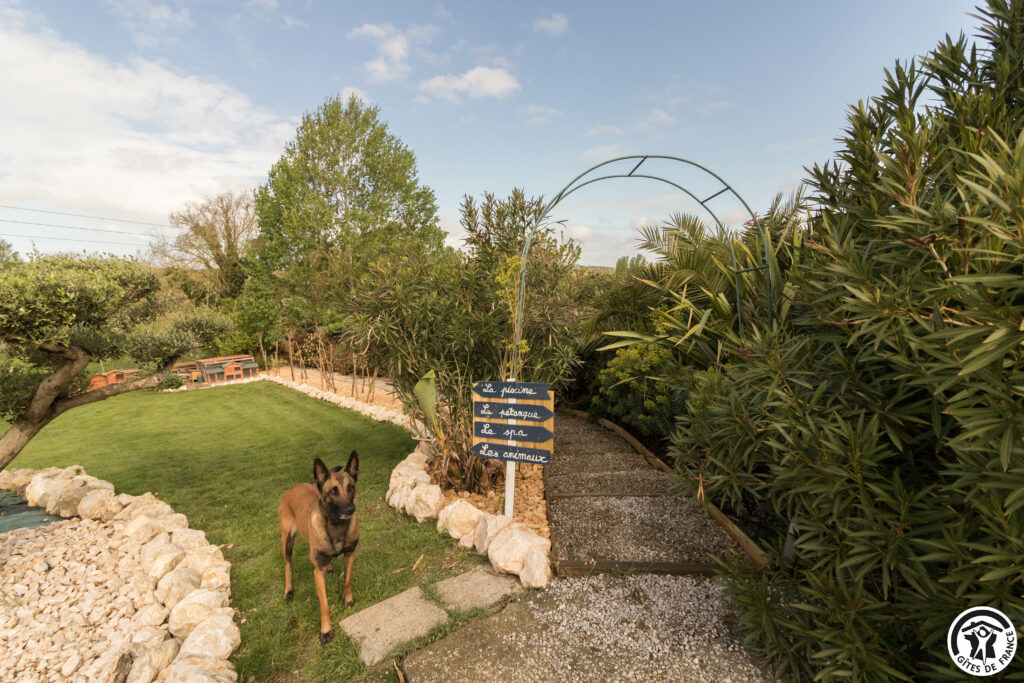 jardin paysager gite du moulin avec piscine et spa près de muret occitanie