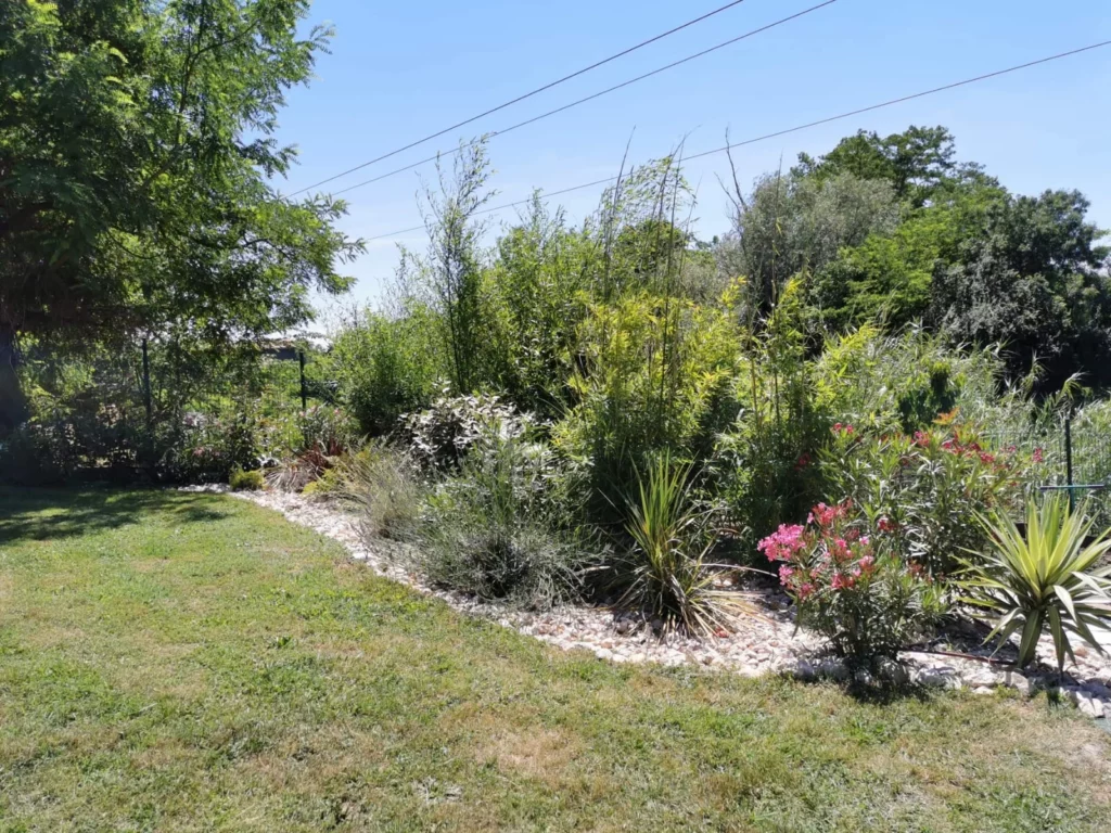 Aménagement paysager - jardin