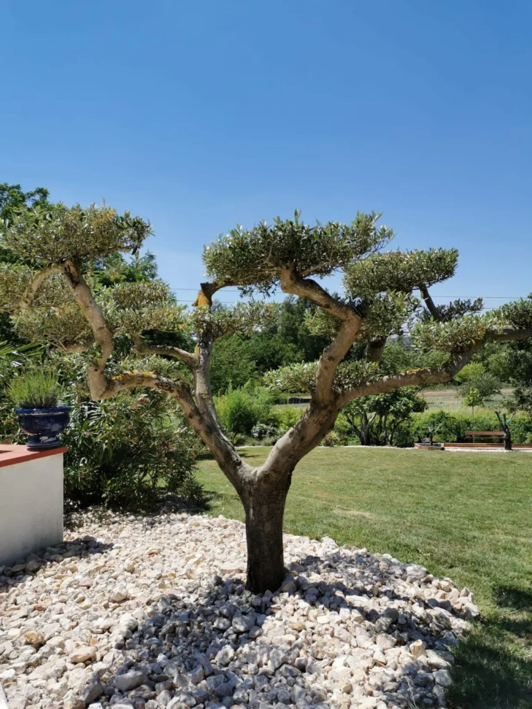 jardin paysager gîte du moulin