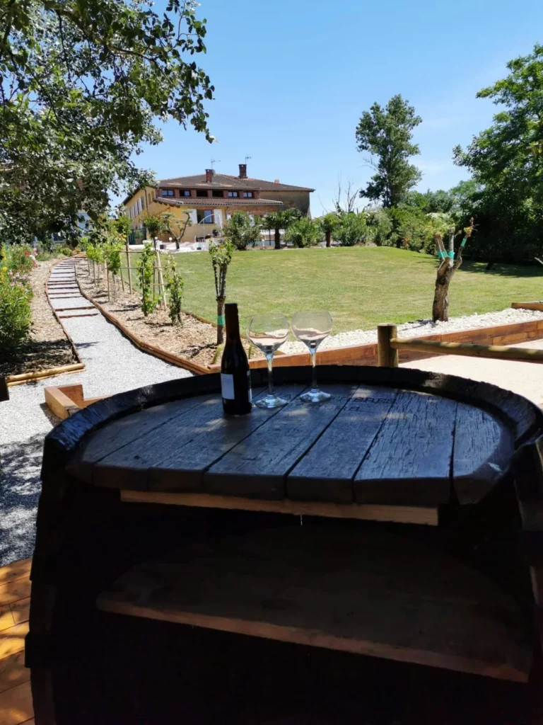 domaine du moulin terrain de pétanque