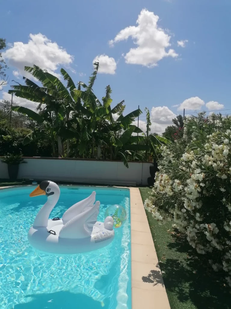 piscine gite du moulin